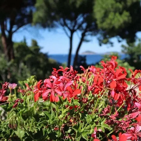Ferienhaus Casa Del Mare 1 Comfortable Marciana Marina (Isola d'Elba)